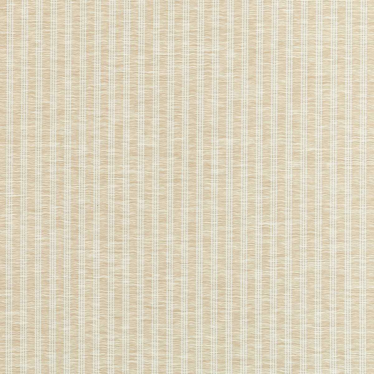 Salem Stripe W9136