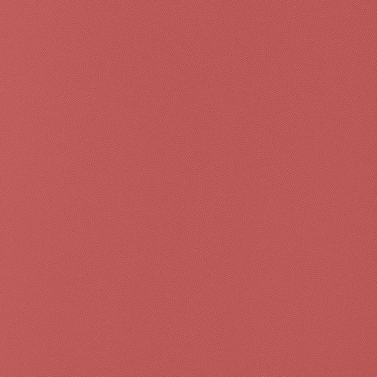 Salta W9019