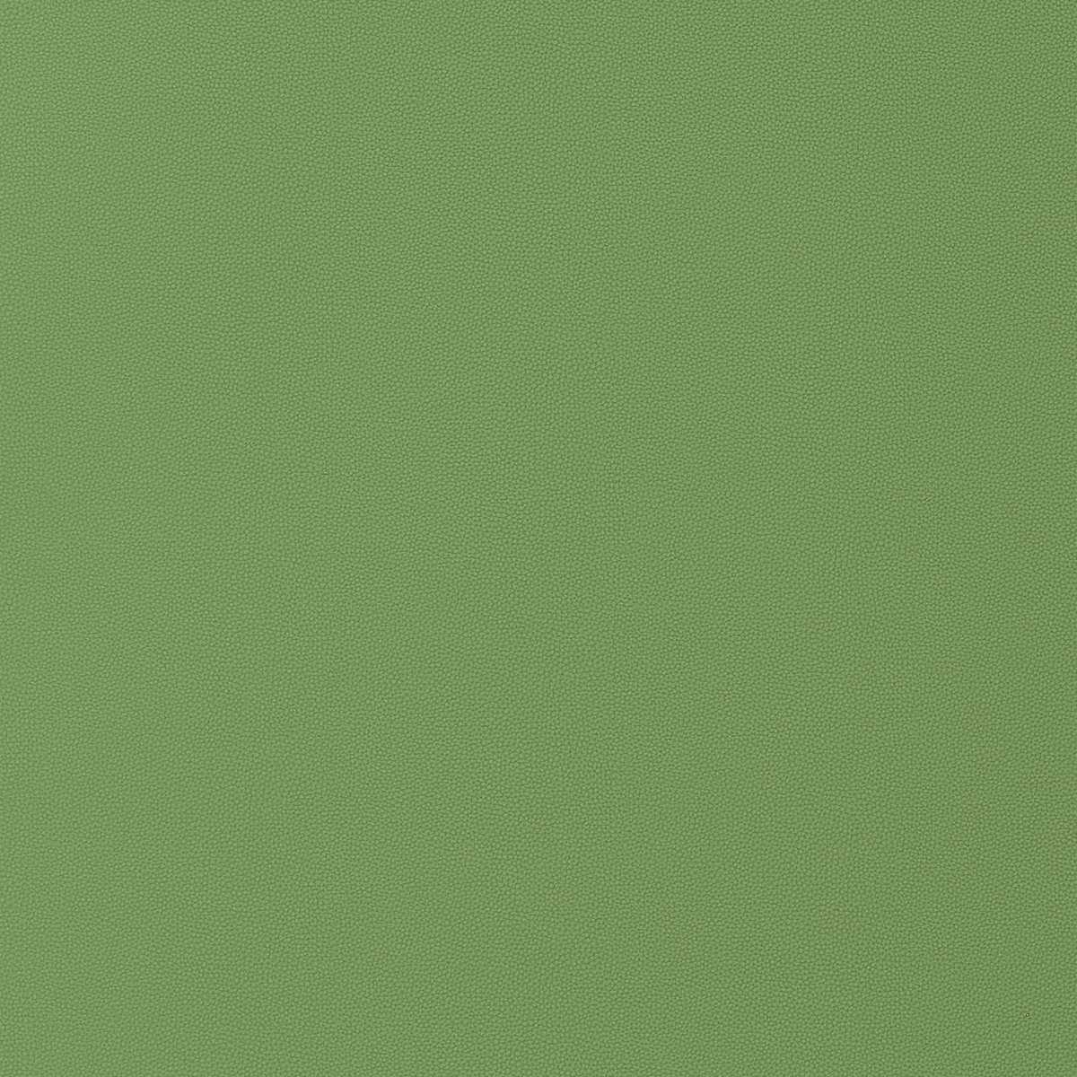 Salta W9028