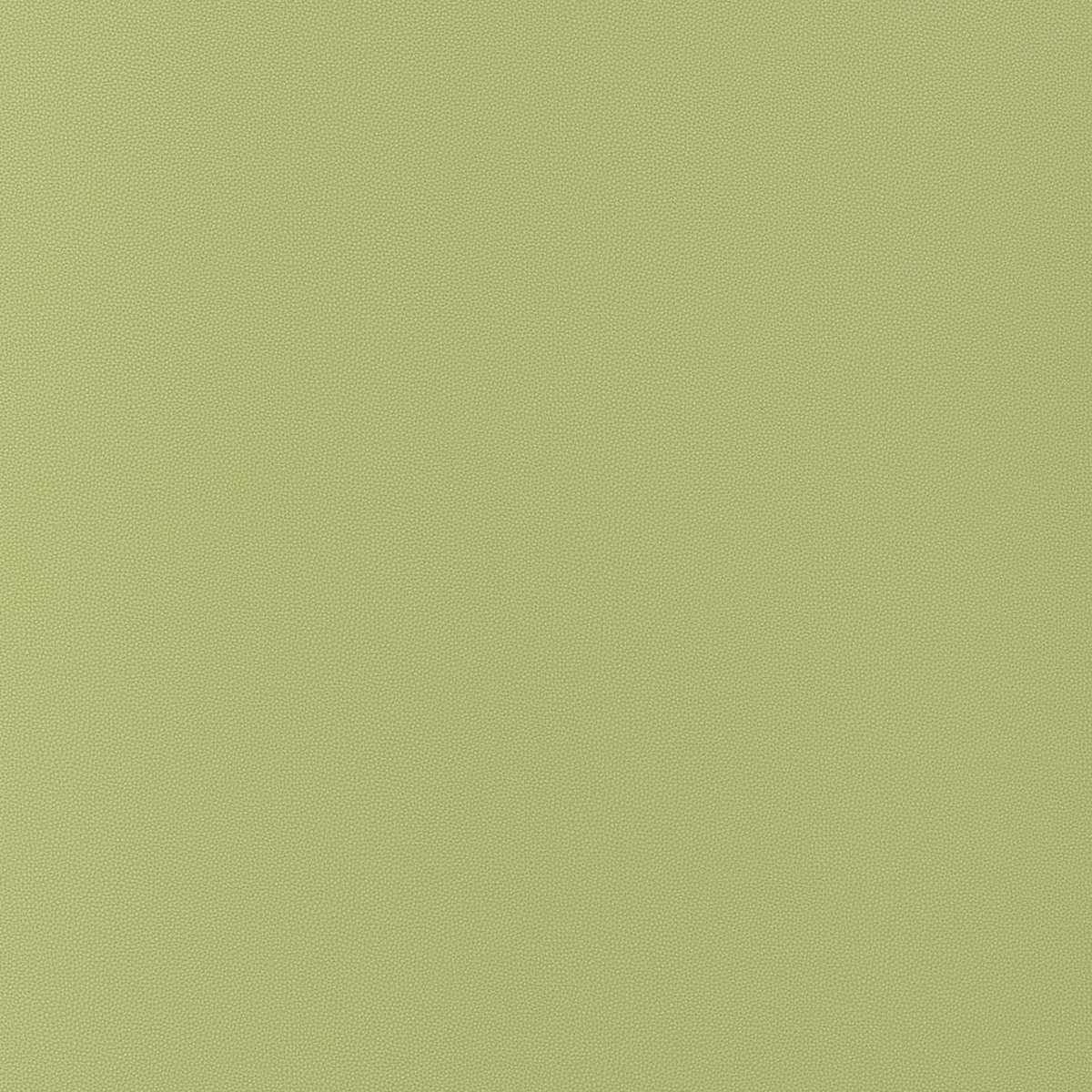 Salta W9029