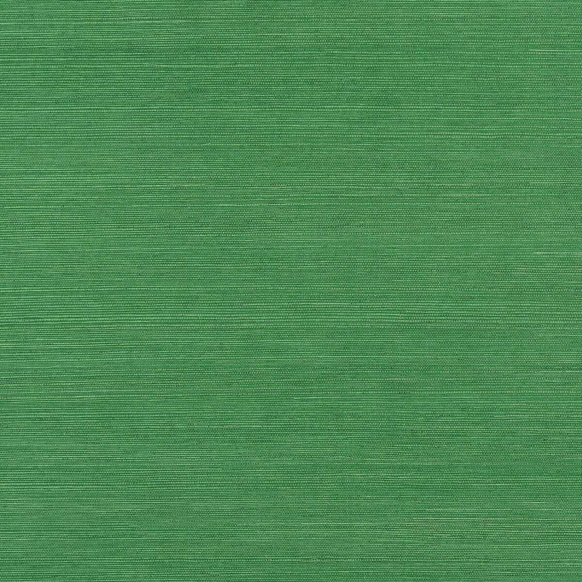 Shang Extra Fine Sisal T19612