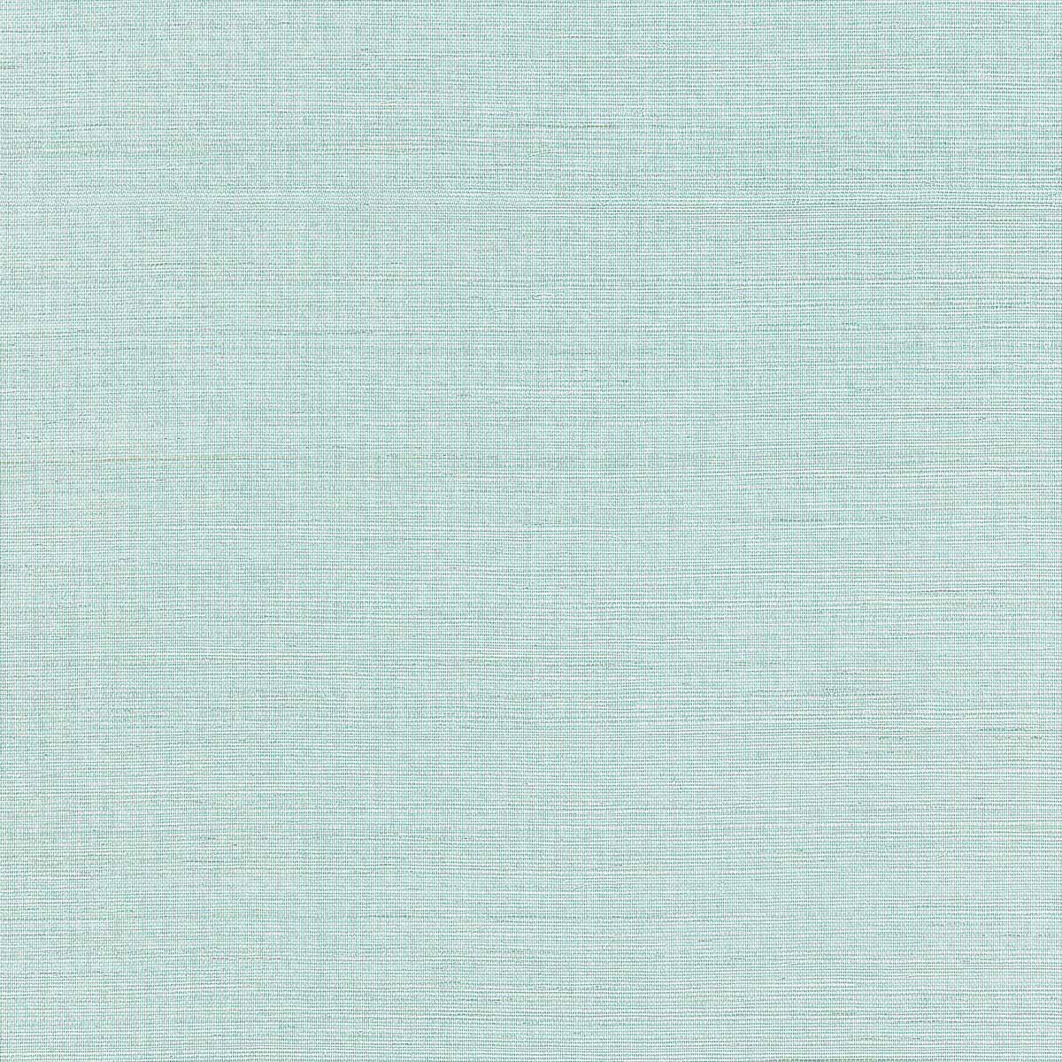 Shang Extra Fine Sisal T19615