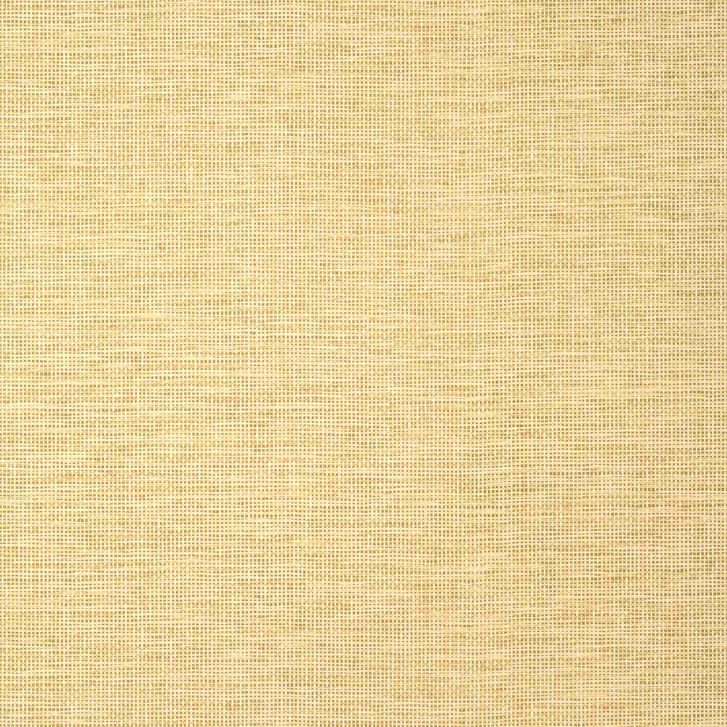 Spiro T14564