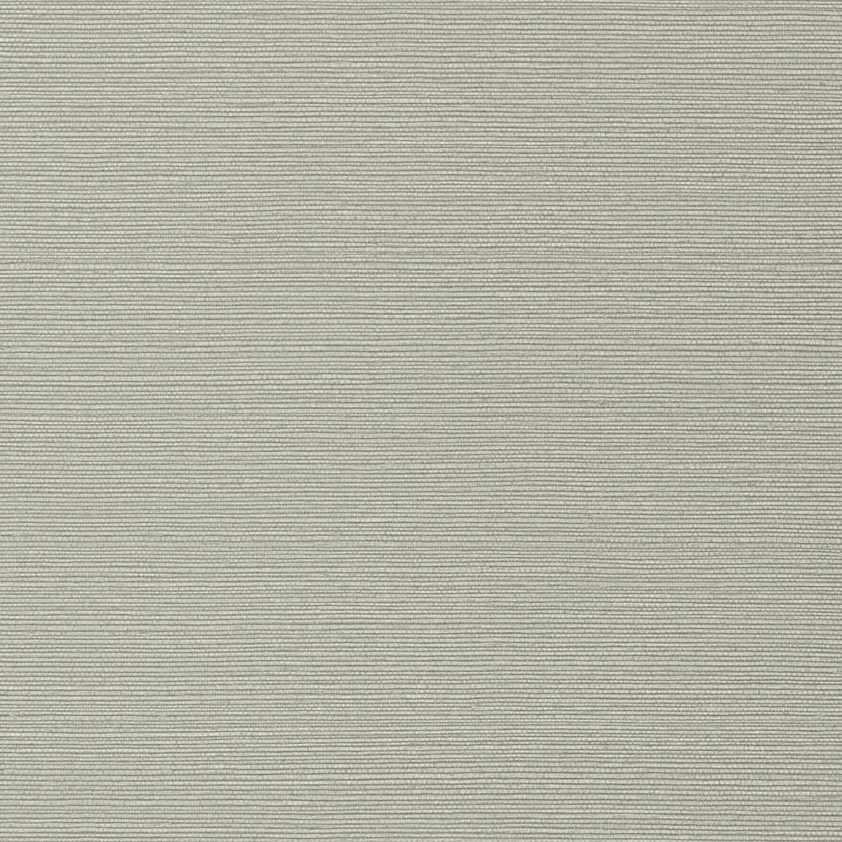 Taluk Sisal Wide Width TWW75149