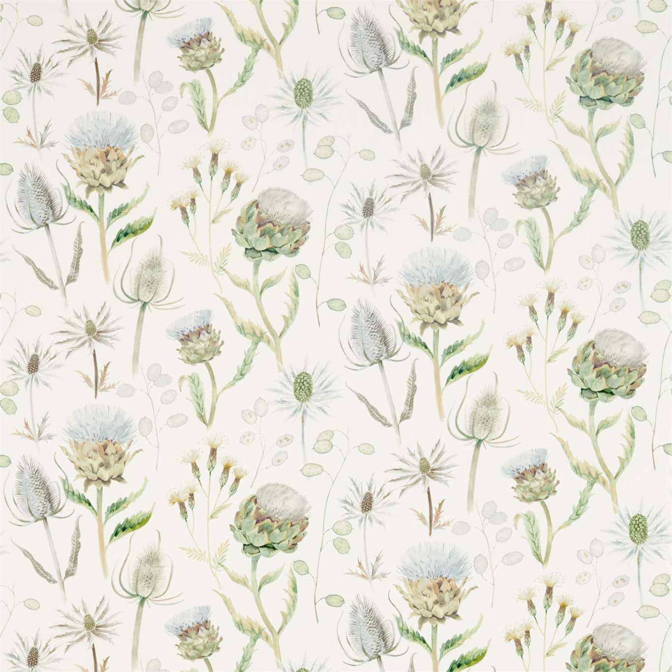 Thistle Garden 226421
