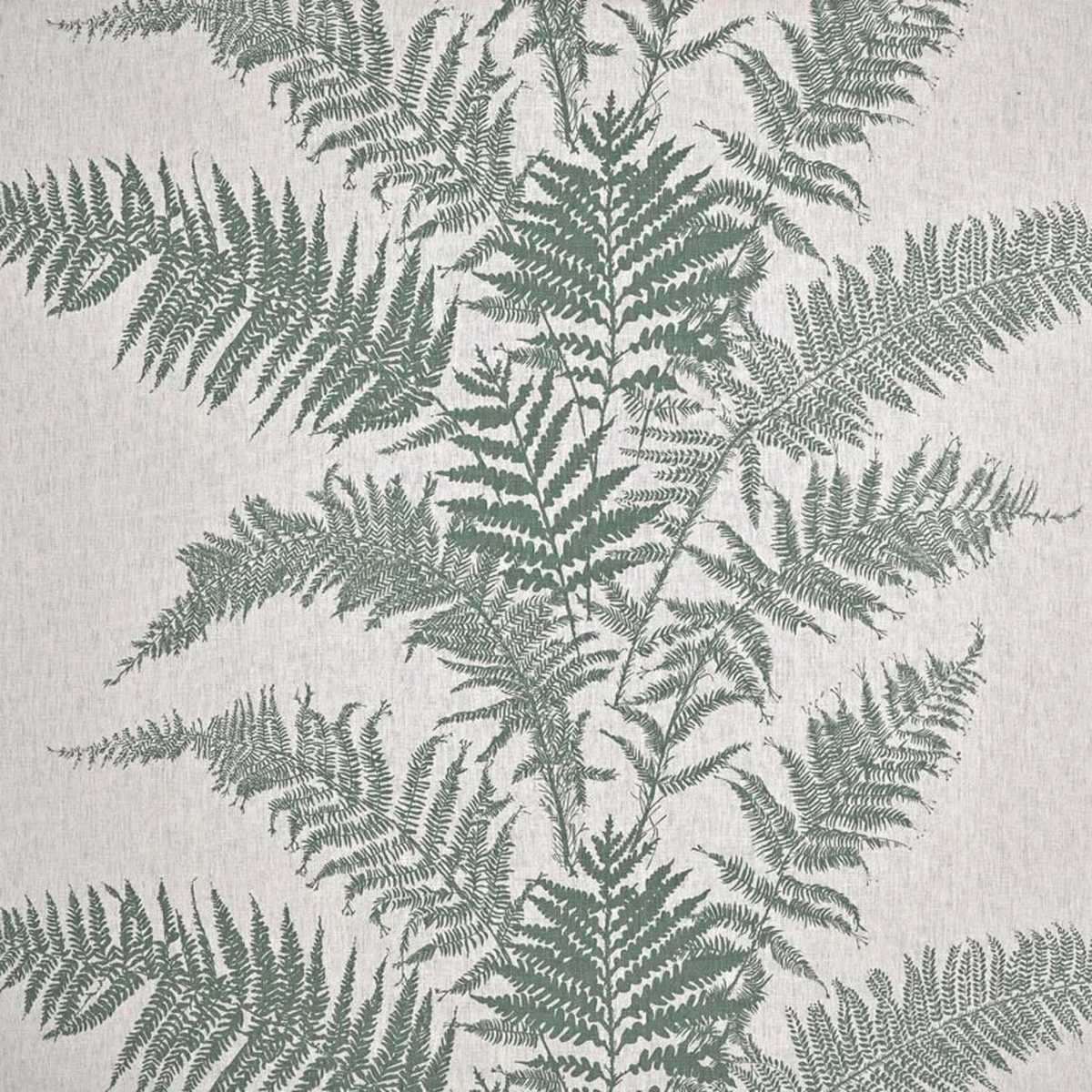 Fern T0387002