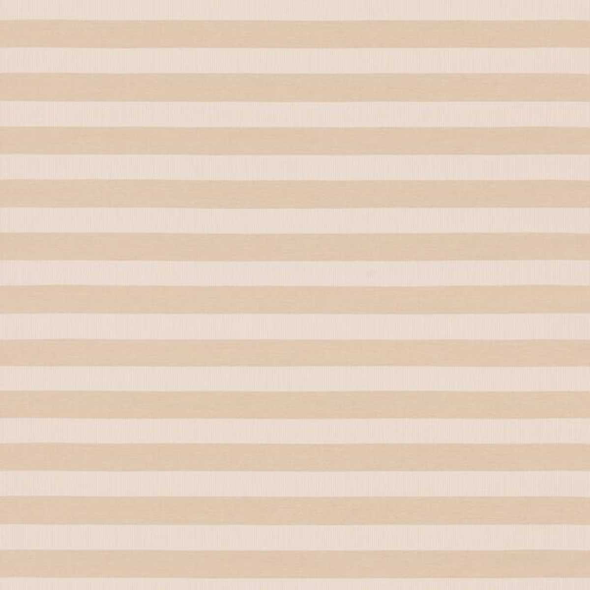 Coast ED85430-116