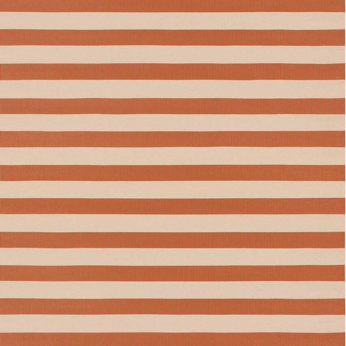 Coast ED85430-344