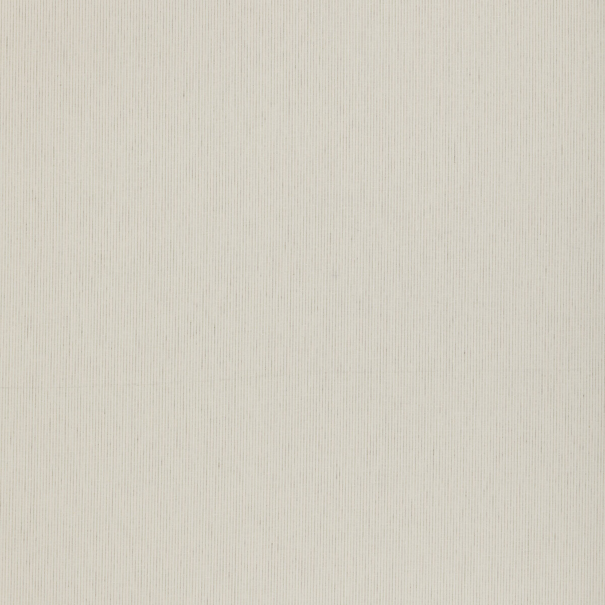 Pampas ED85408-104