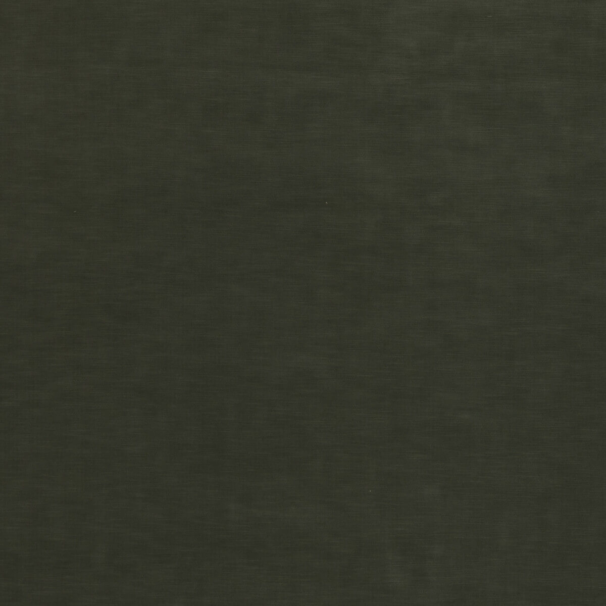 Quintessential Velvet ED85359-791