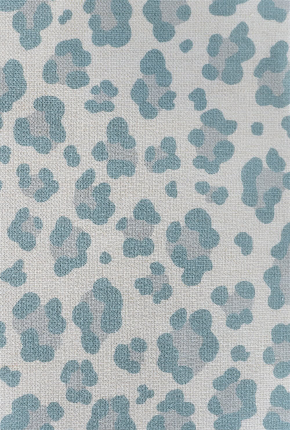 Leopard Spot 01