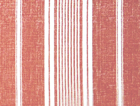 Toile Stripe 04