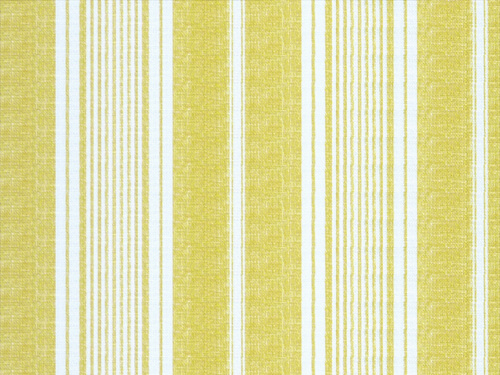 Toile Stripe 05