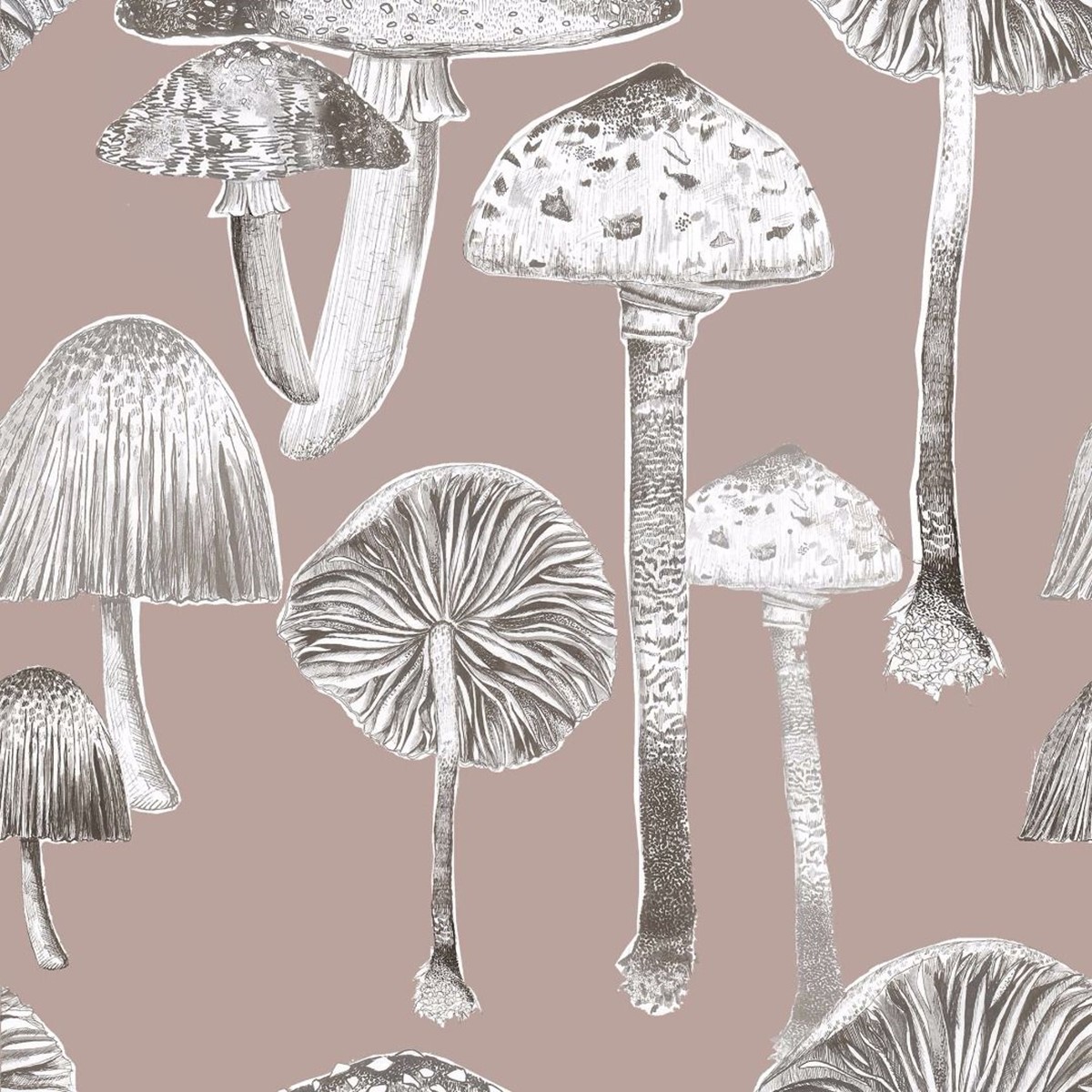 Natural History Toadstools Taupe