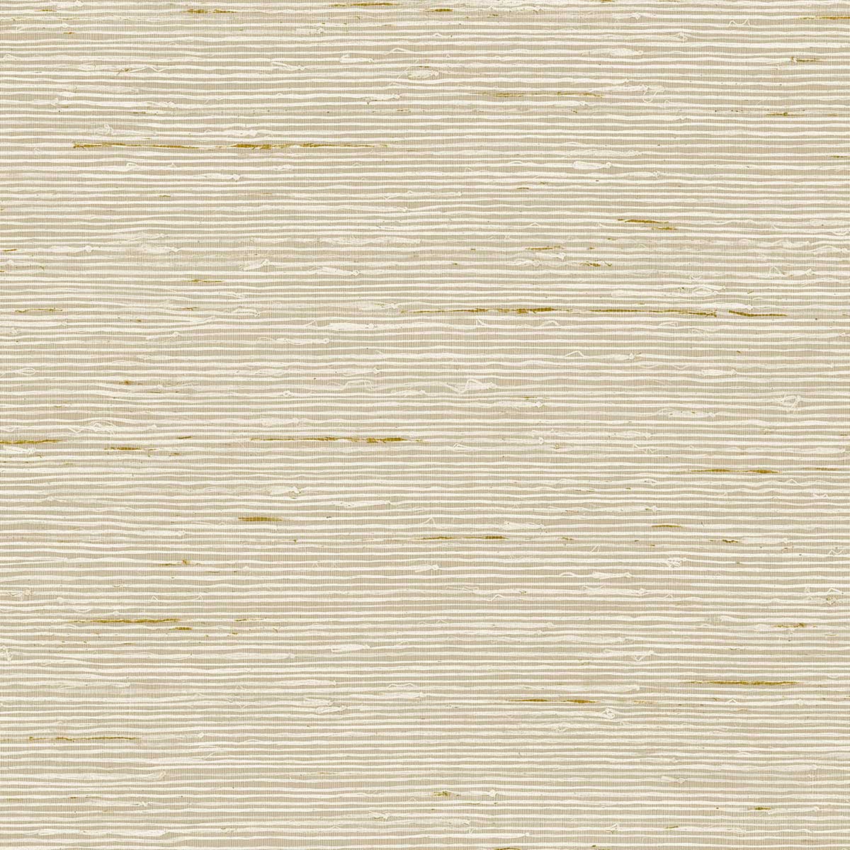 A Lot More Textures CP90205