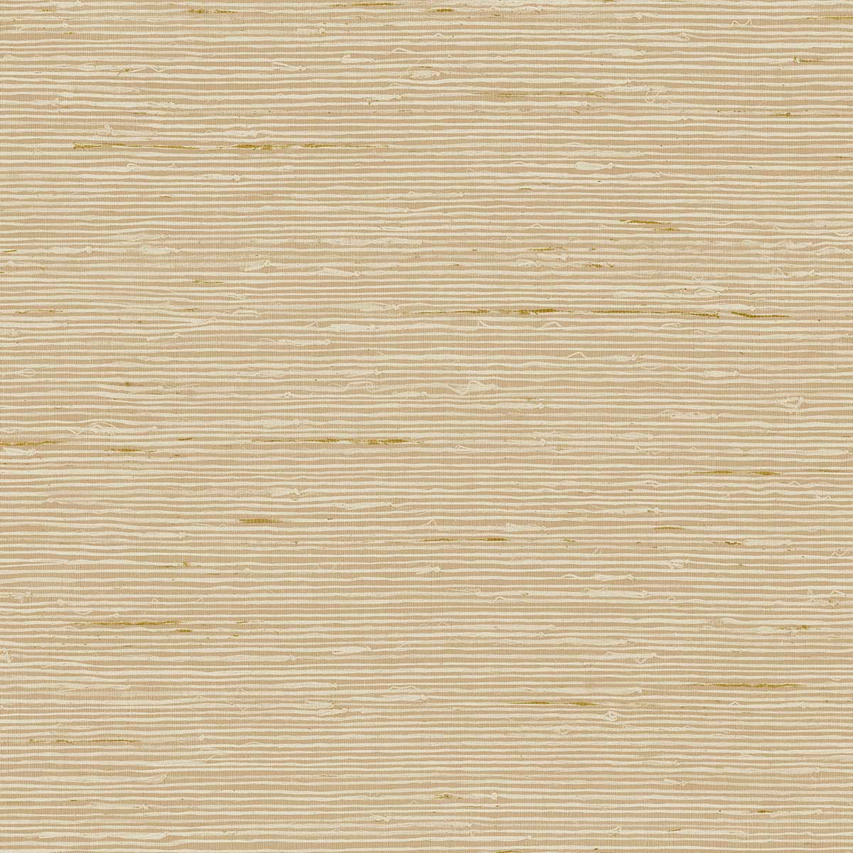 A Lot More Textures CP90207