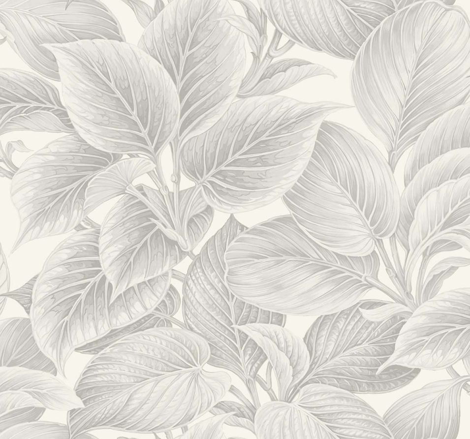 Shades of White WS70308