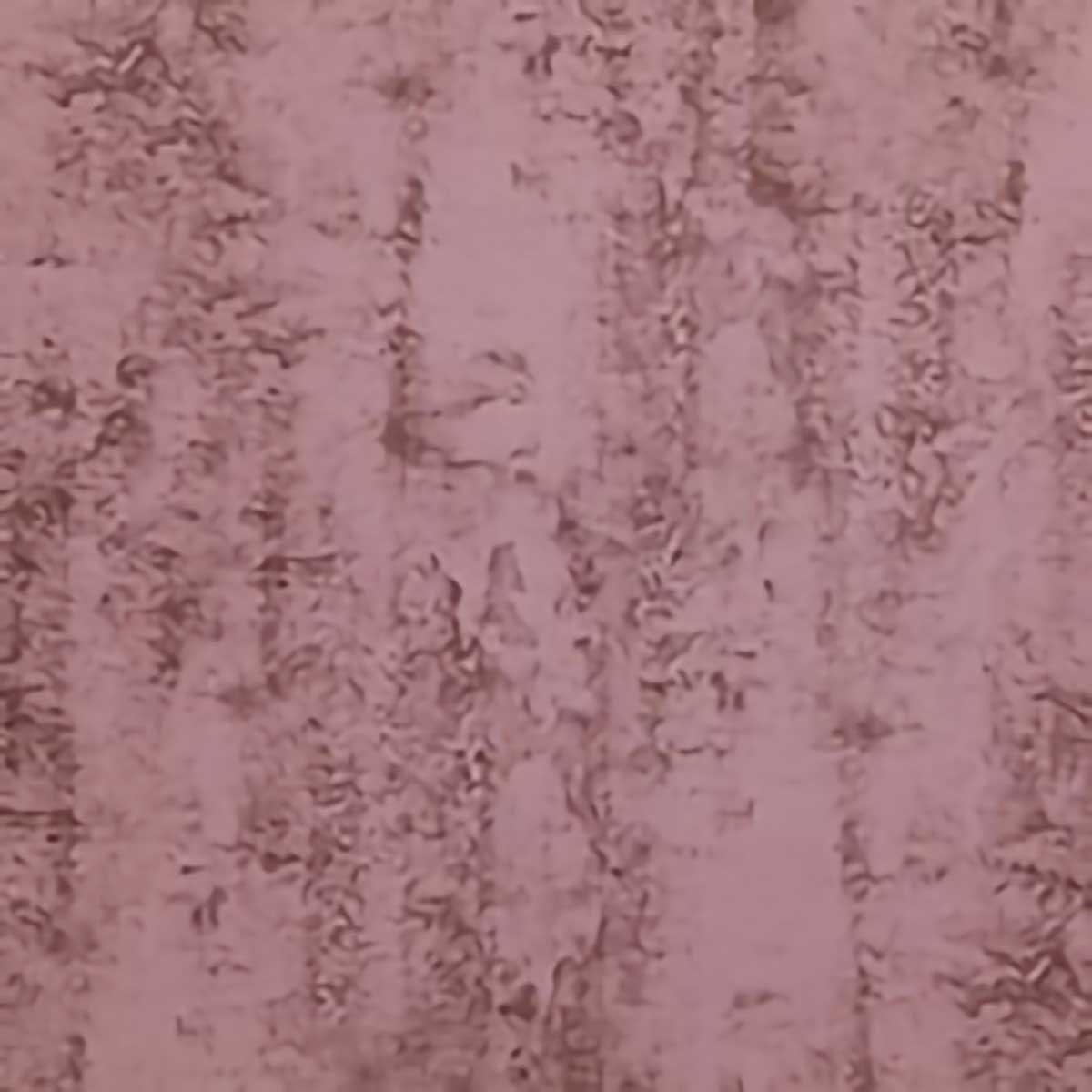 Slate SE0824