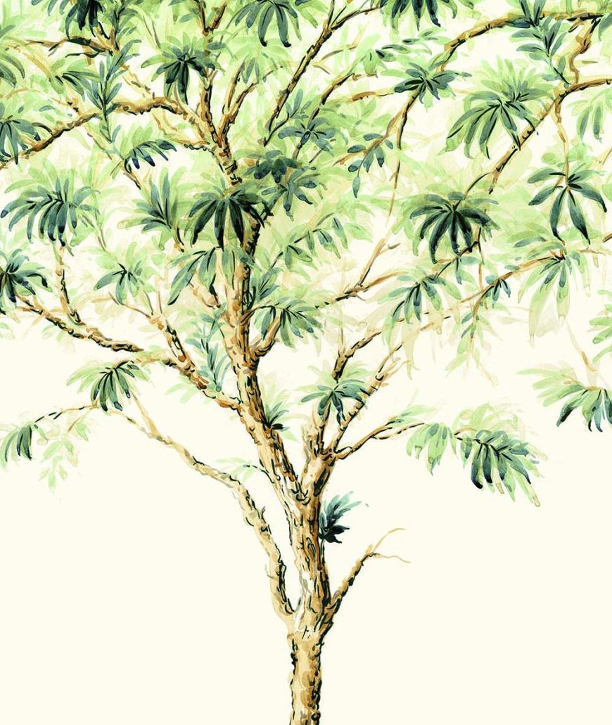 Trees TR71504M