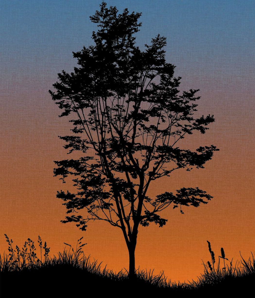 Trees TR71905M