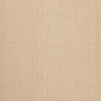 Topo 41 Caramel
