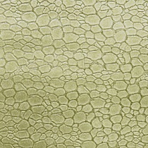 Tortoise 84 Linen