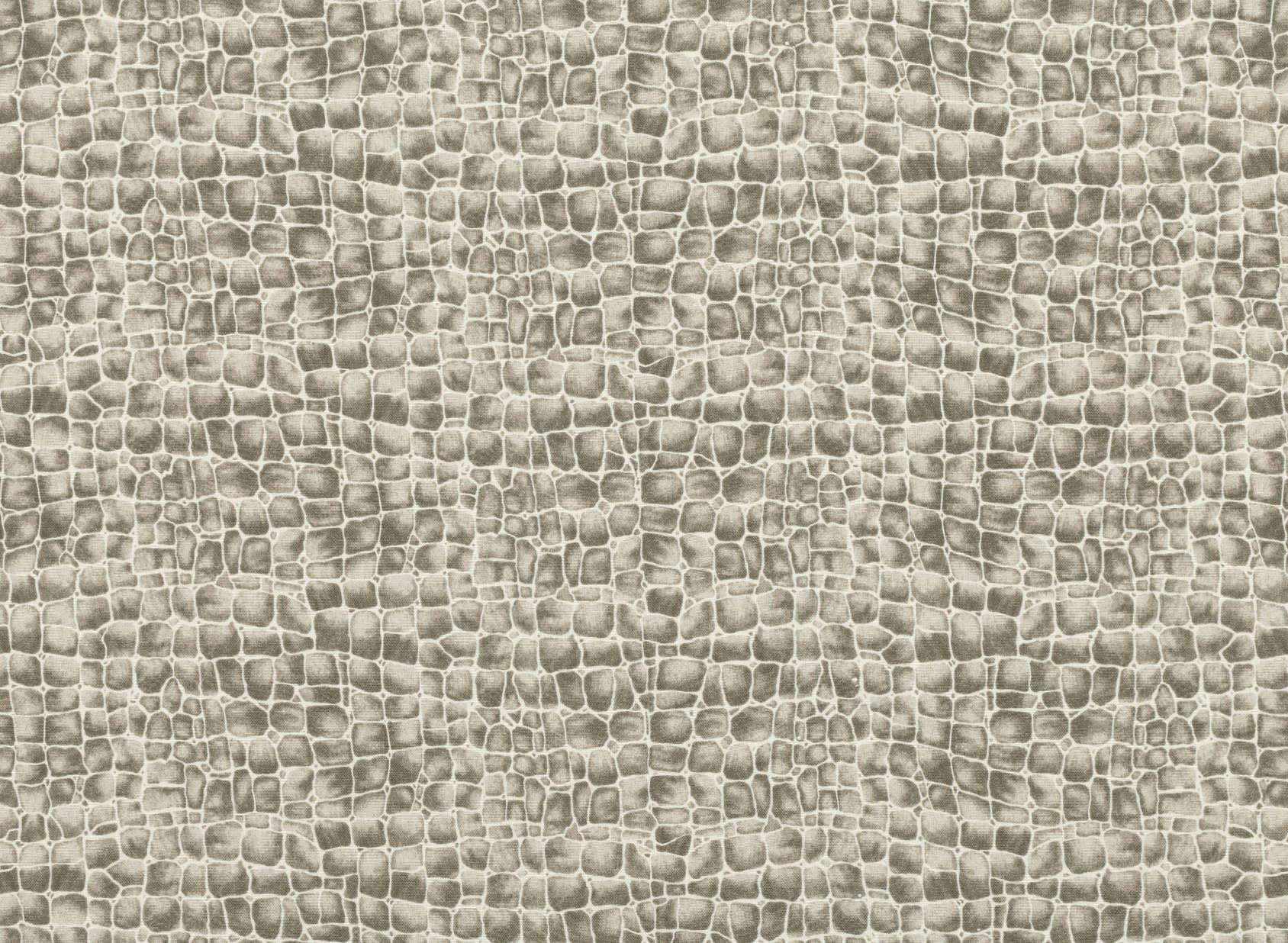 Tortuga Taupe Z469-02