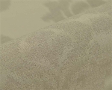Trapezium FR 110584-2