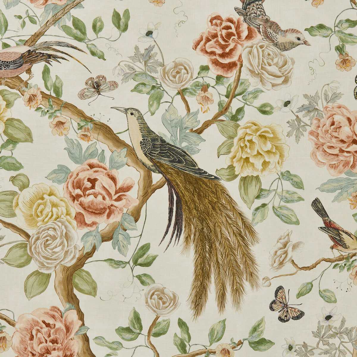 Audubon Garden 44181464