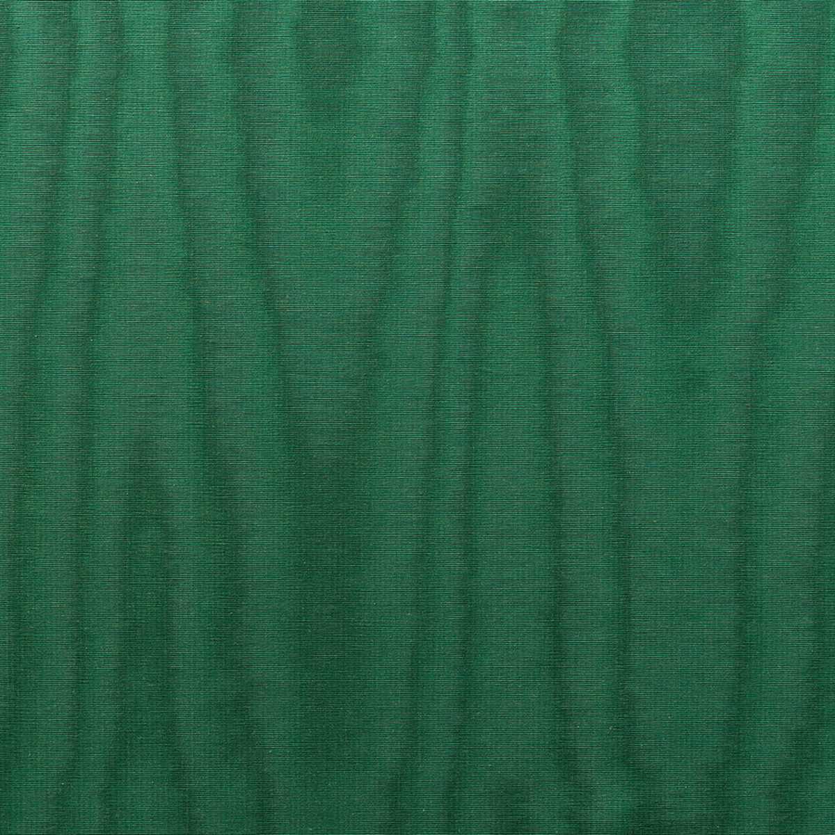 Bosque Moire 44169777