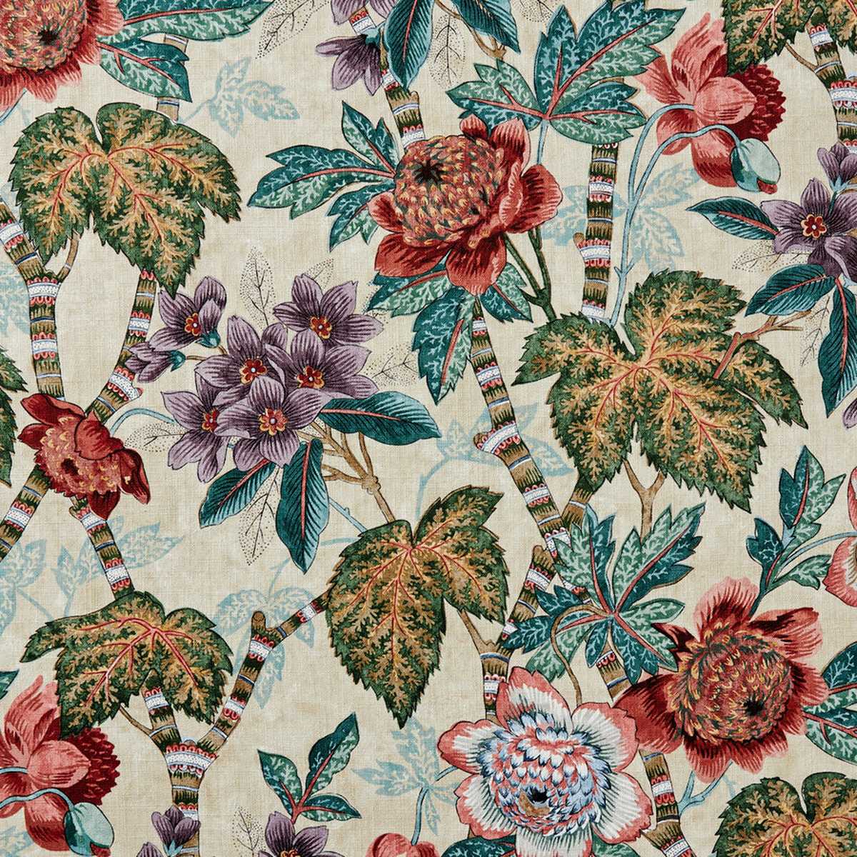 Cape Floral 44154367