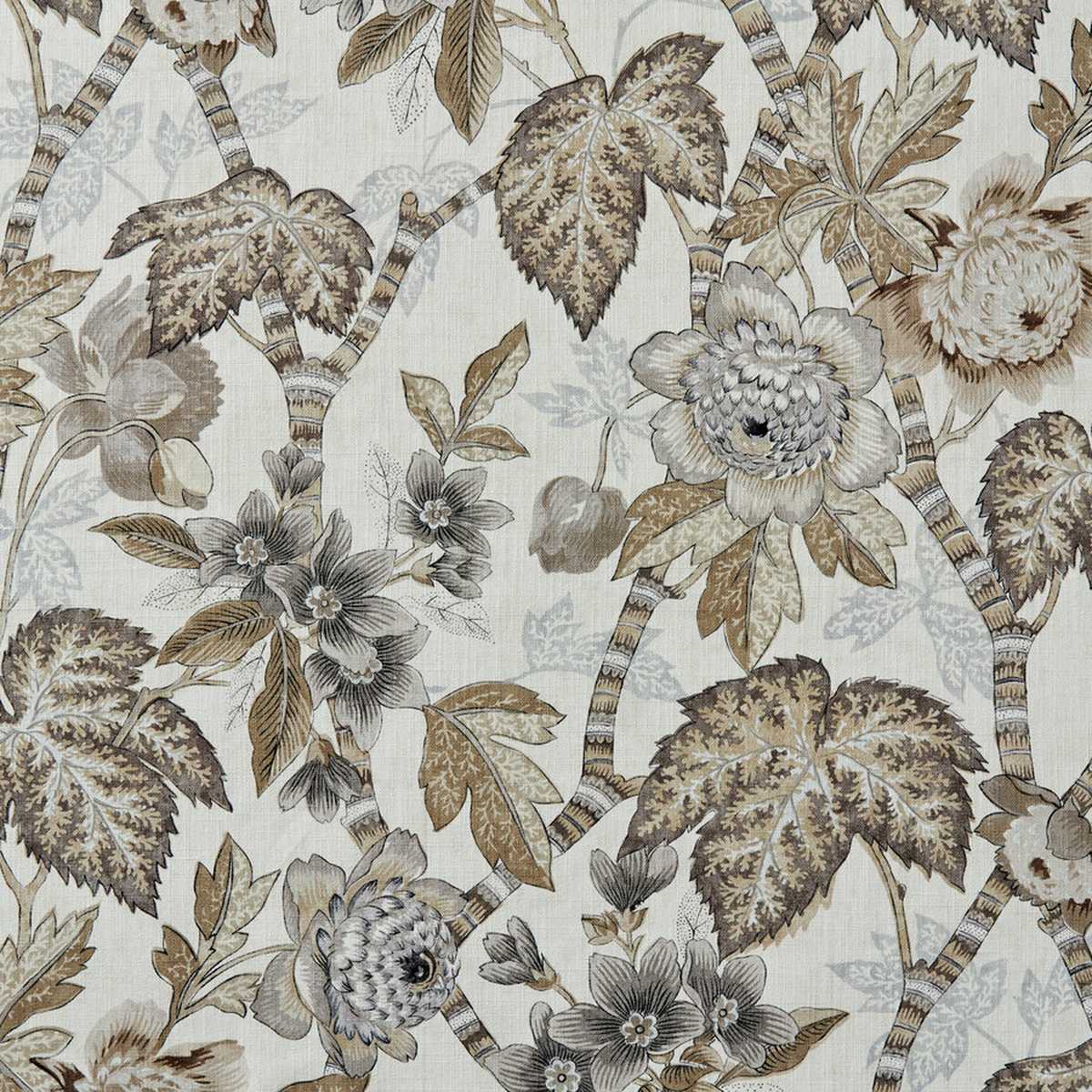 Cape Floral 44154893