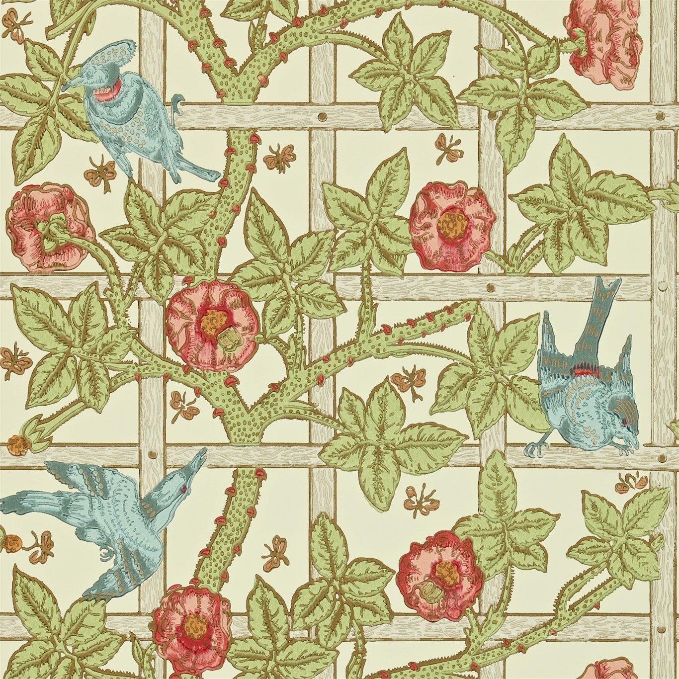 Trellis DMORTR101