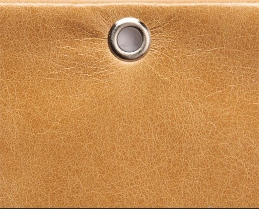 Trento Wheat TRN224