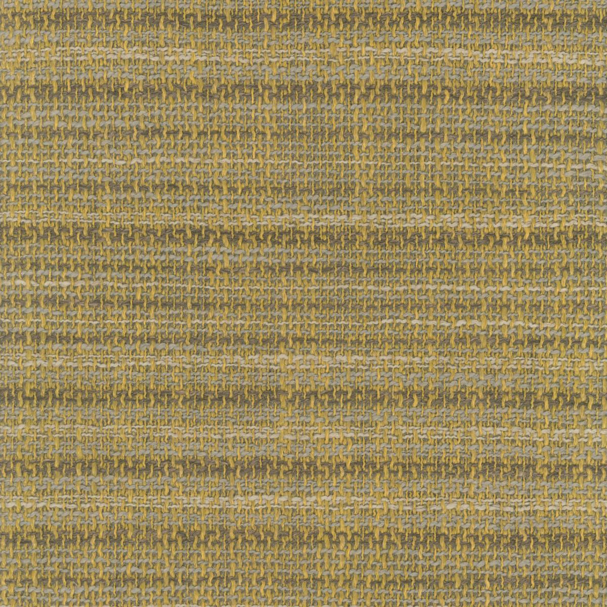 Tricotage Raye 17279-003