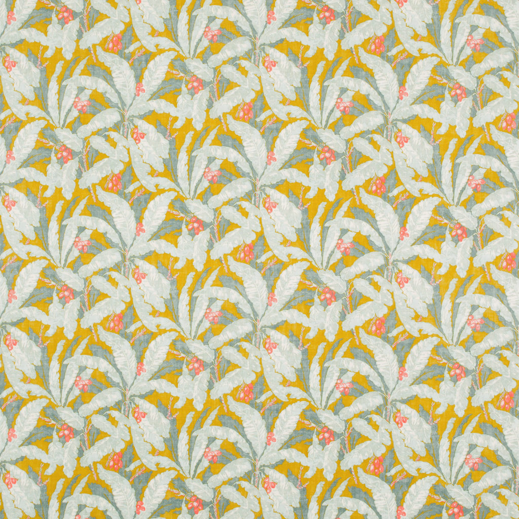 Tropicana LF1981C-001