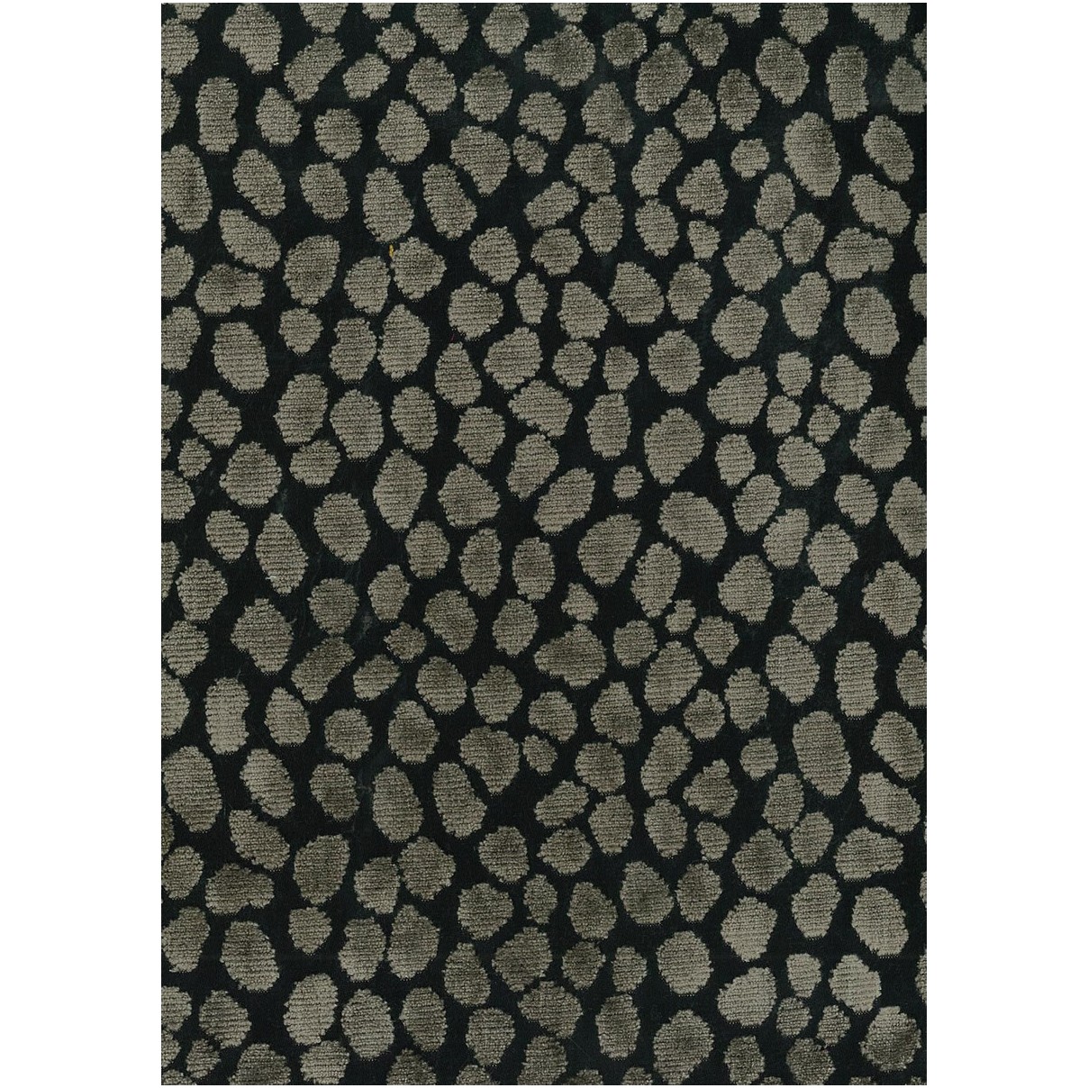 Tupai MLF2170-04