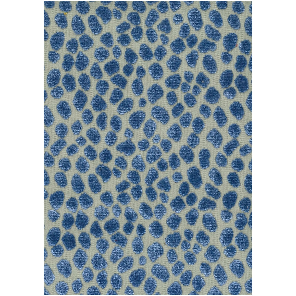 Tupai MLF2170-06