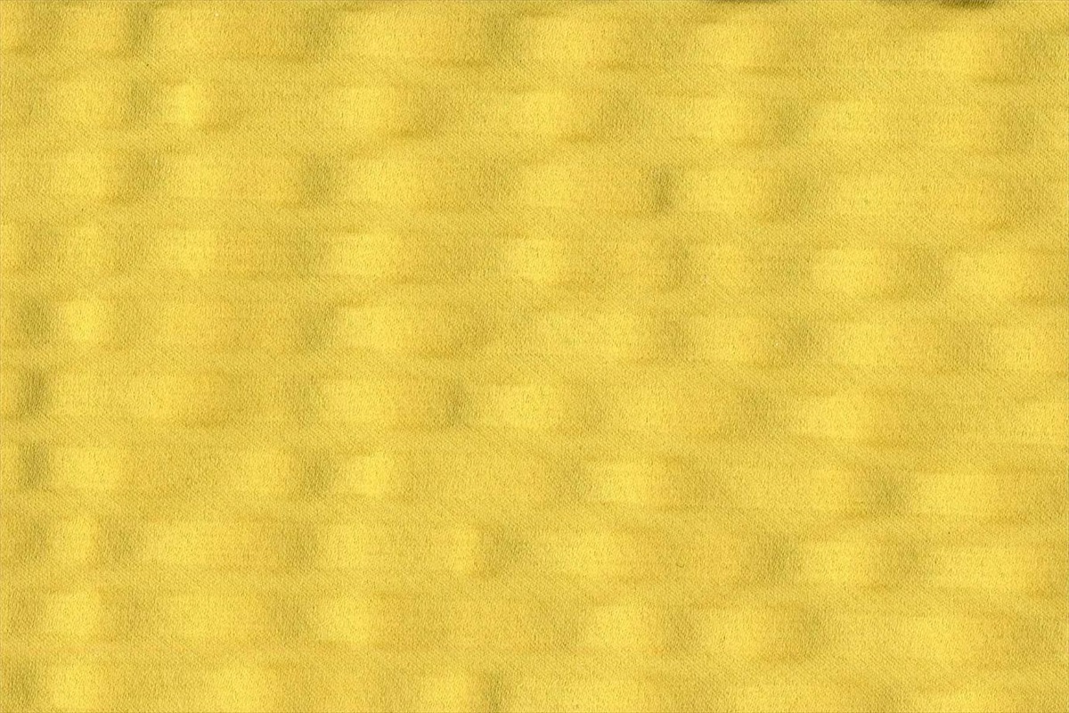 Undici Limone