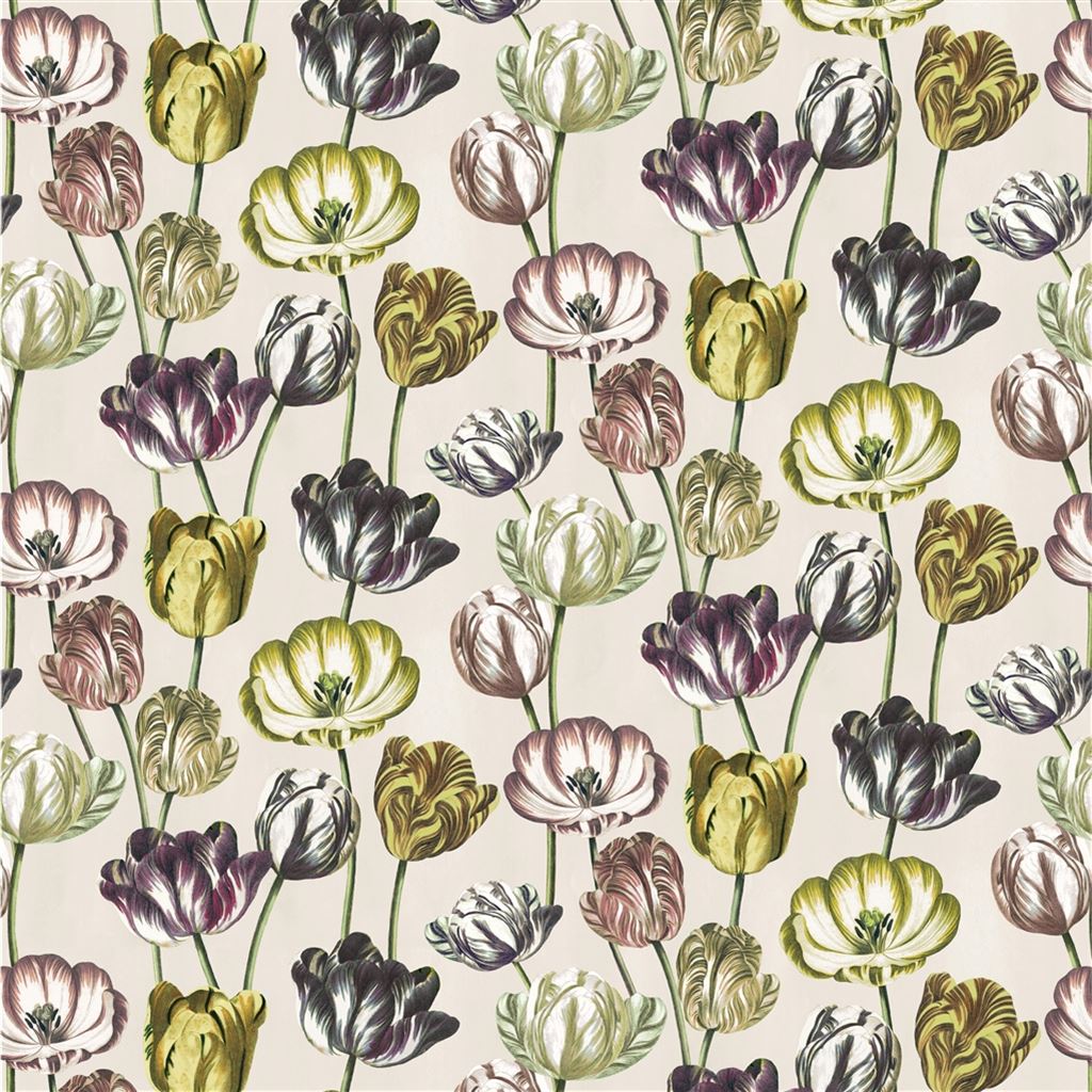 Variegated Tulips FJD6023-01