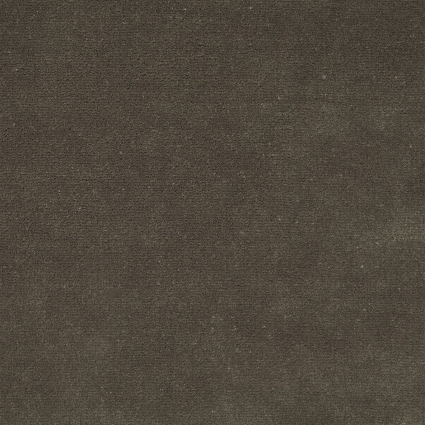 Veda Putty 131696