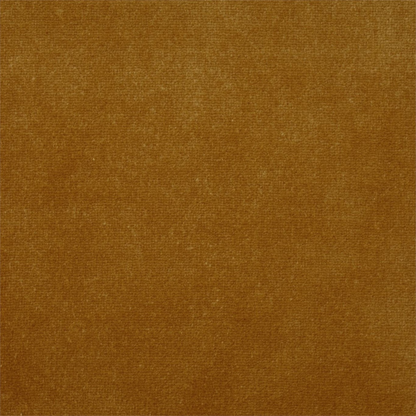Veda Saffron 131701