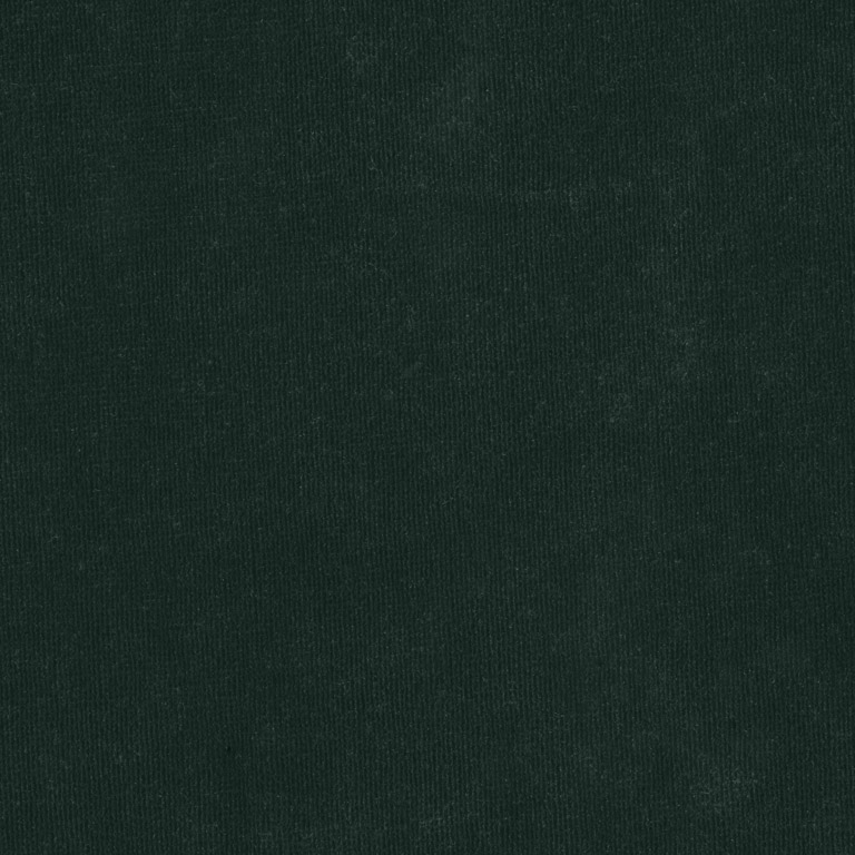 Velours Decontracte 17209-003