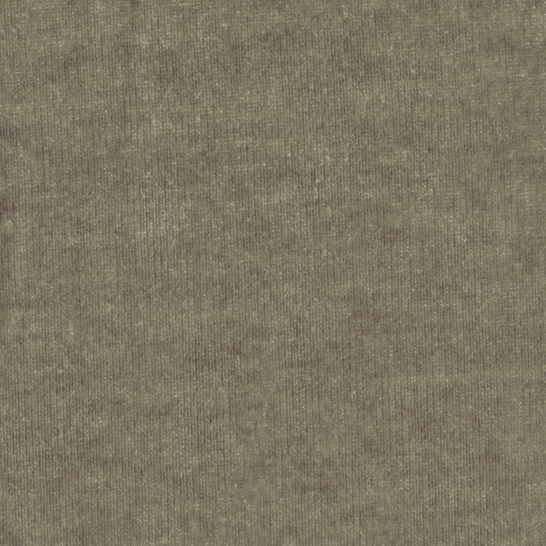 Velours Decontracte 17209-008