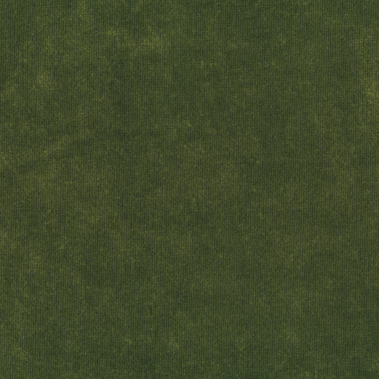 Velours Decontracte 17209-011