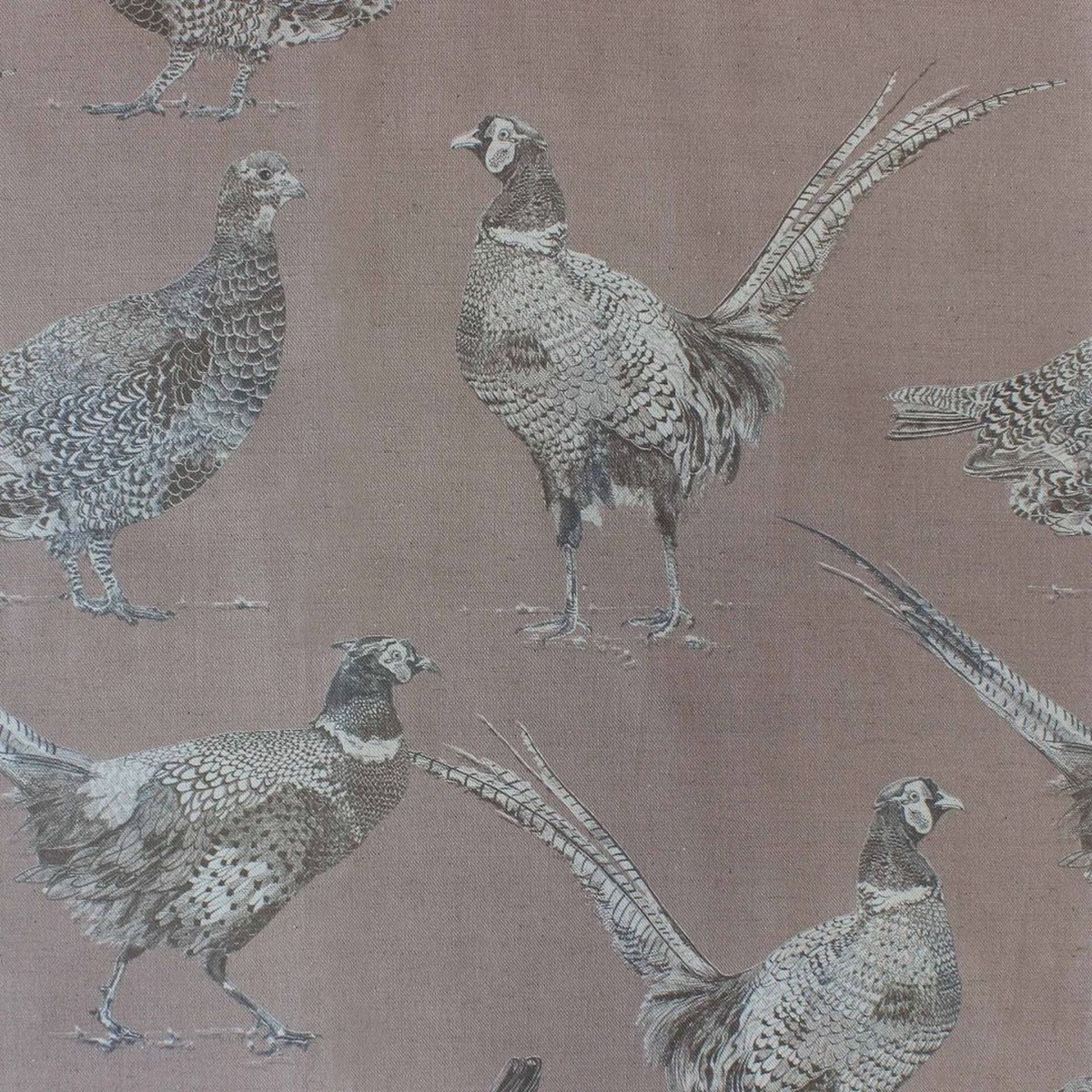 Venatu Taupe
