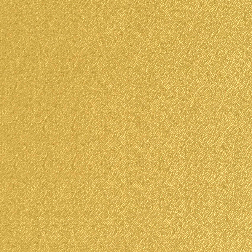 Icare 98460-721