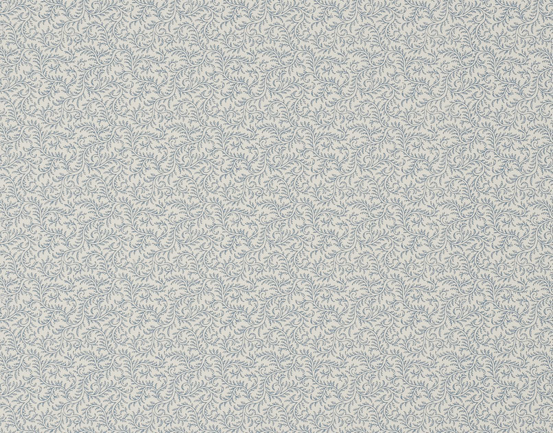 Vermicule BP205003