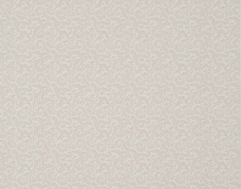 Vermicule BP205004