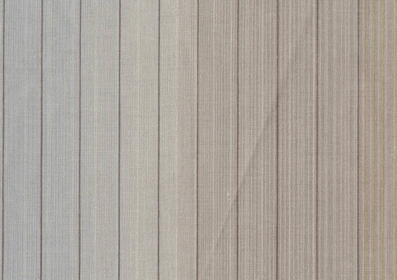 Vertical Stripe 10071
